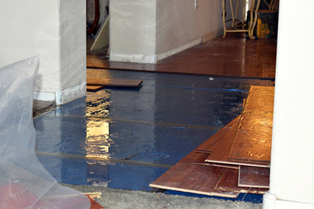 Professional Basement Water Removal technician working in Union, NH